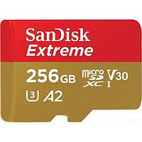 Карта памяти SanDisk Extreme microSDXC SDSQXAV-256G-GN6MN 256GB