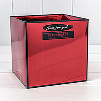 Коробка-пакет Black Mirror с ручками, 18*18*18 см, красный