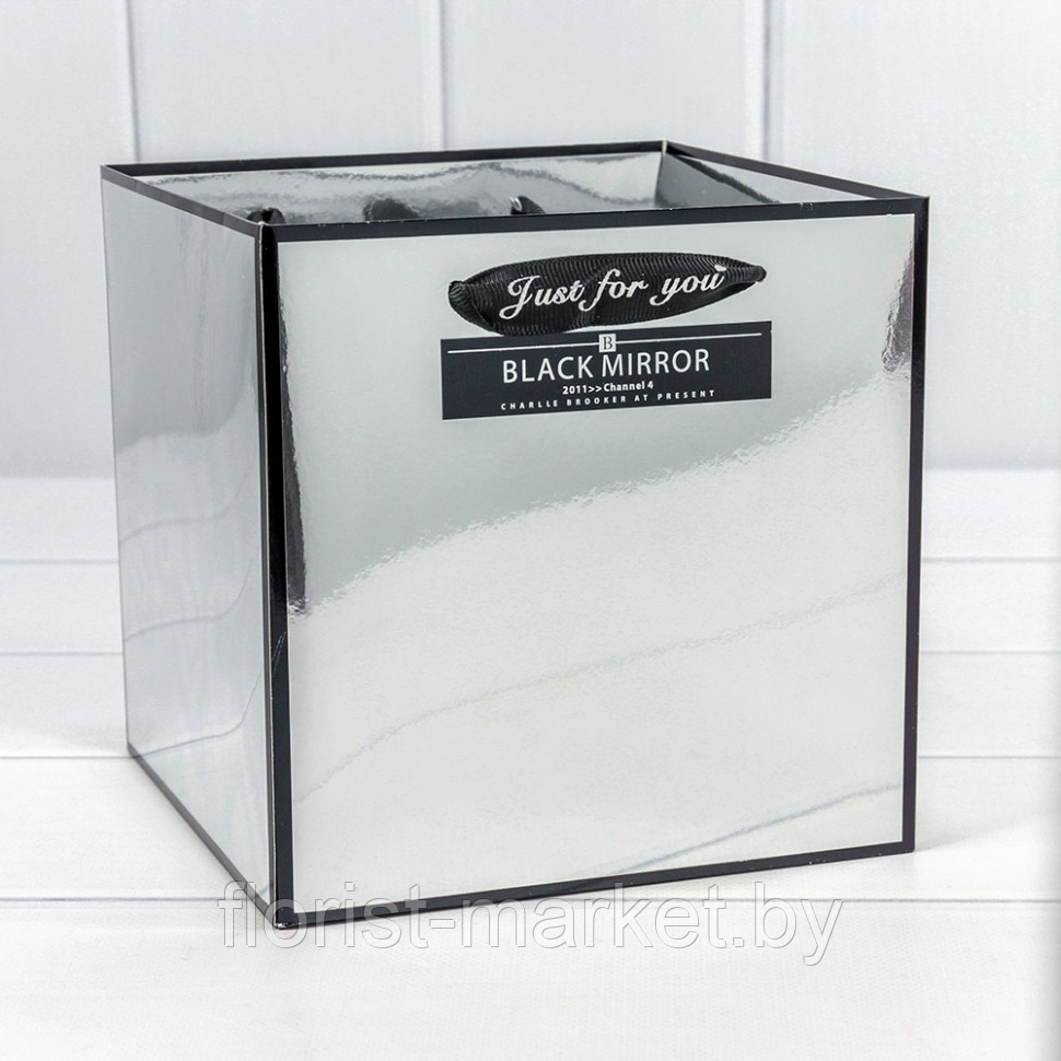 Коробка-пакет Black Mirror с ручками, 18*18*18 см, серебряный