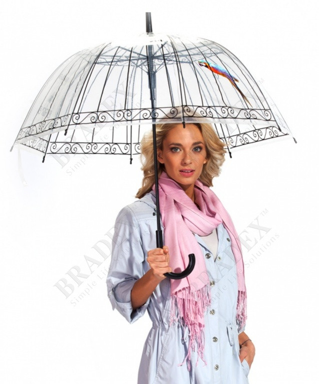 Прозрачный зонт-трость «Пташка в клетке» - фото 5 - id-p225498385