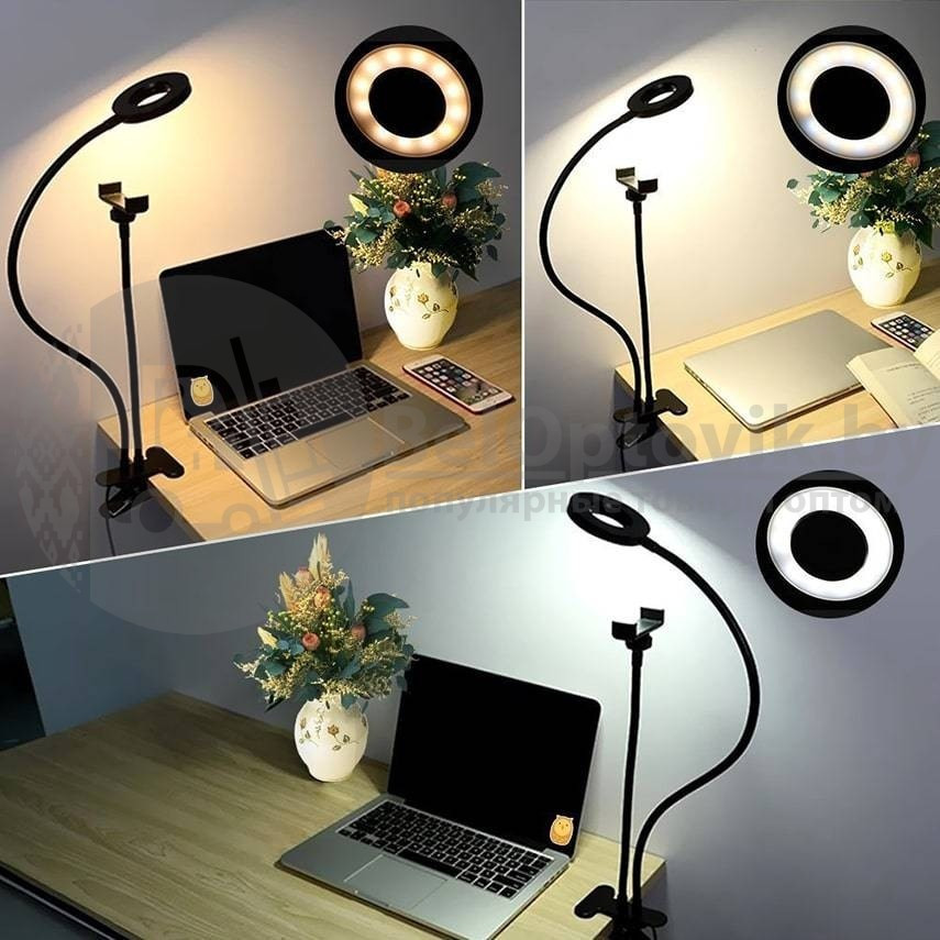 Кольцевая лампа со штативом для фото/видео съемки Professional Live Stream - фото 2 - id-p225499473