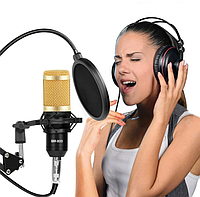 Студийный микрофон для домашней звукозаписи, караоке, стриминга и блогинга BM-800с микшерным пультом