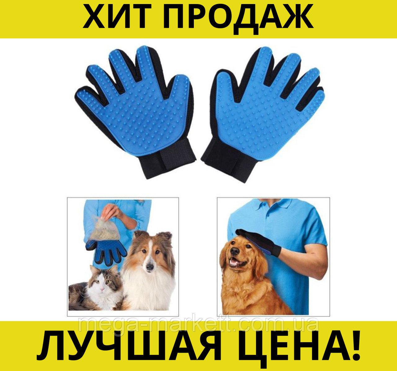 Перчатка для вычесывания шерсти животных True Touch - фото 5 - id-p225498546