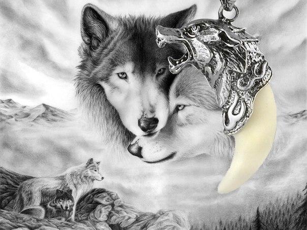Амулет клык волка с фильма Сумерки - фото 3 - id-p225498593
