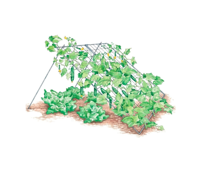 Шпалерная сетка для подвязки огурцов / сетка садовая для винограда и вьющихся растений - фото 3 - id-p225504492