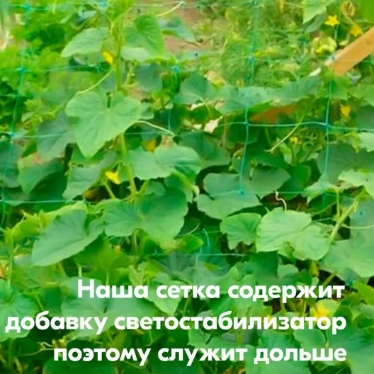 Шпалерная сетка для подвязки огурцов / сетка садовая для винограда и вьющихся растений - фото 6 - id-p225504492