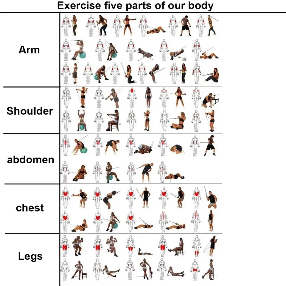 Набор эспандеров для всех групп мышц, набор 11 предметов (троссов) - фото 9 - id-p225502695