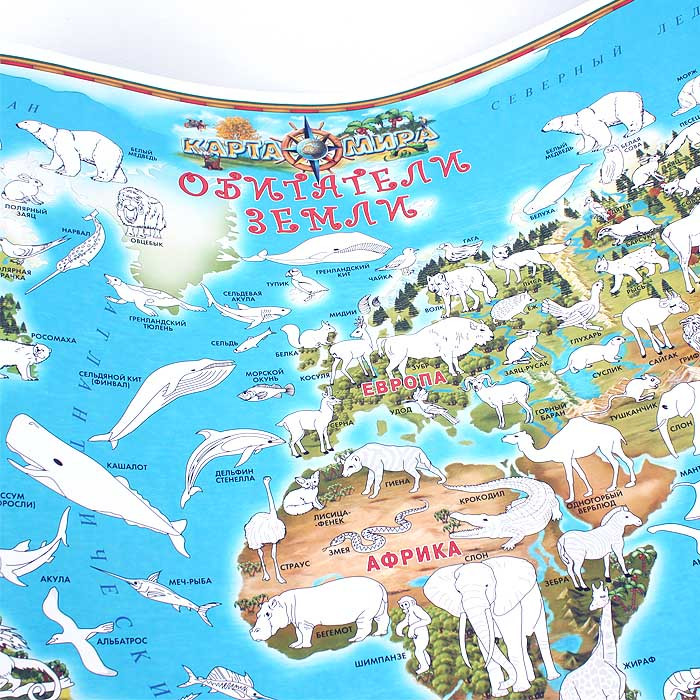 Карта-раскраска Обитатели земли (в пластик. тубусе) - фото 2 - id-p225504885
