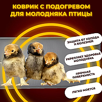 Электроподогреватель / коврик / грелка "ТеплоМакс" для молодняка птицы 50х25 см