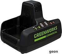 Зарядное устройство Greenworks G82C2 (2x82В)