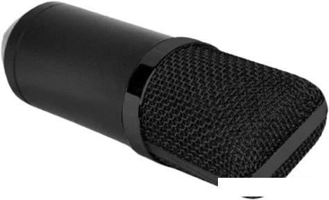 Микрофон Biema BM700