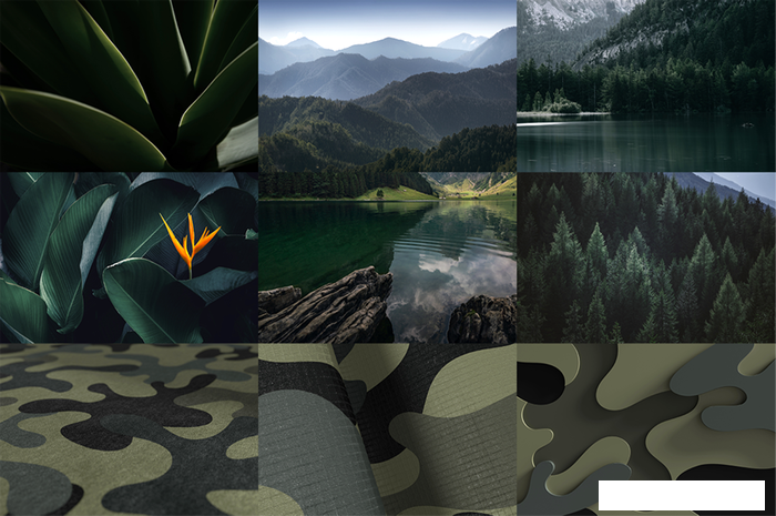 Мышь Microsoft Bluetooth Mouse Forest Camo Special Edition - фото 5 - id-p225283439