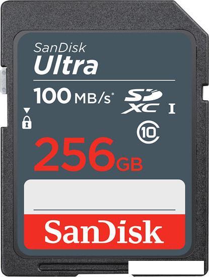 Карта памяти SanDisk Ultra SDXC SDSDUNR-256G-GN3IN 256GB