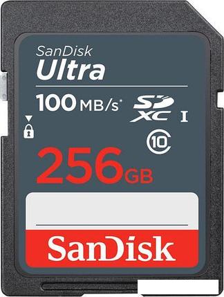 Карта памяти SanDisk Ultra SDXC SDSDUNR-256G-GN3IN 256GB, фото 2