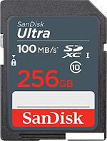 Карта памяти SanDisk Ultra SDXC SDSDUNR-256G-GN3IN 256GB