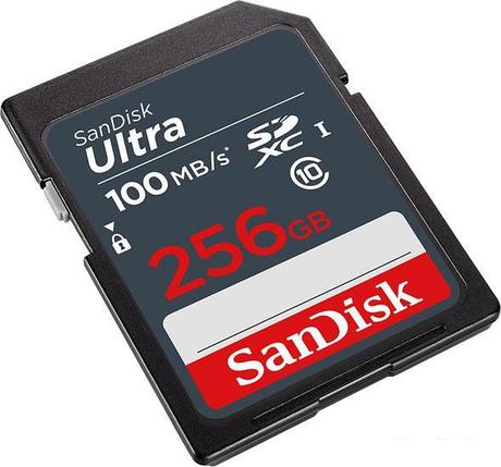 Карта памяти SanDisk Ultra SDXC SDSDUNR-256G-GN3IN 256GB, фото 2