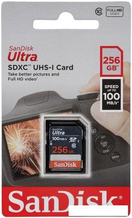 Карта памяти SanDisk Ultra SDXC SDSDUNR-256G-GN3IN 256GB, фото 2