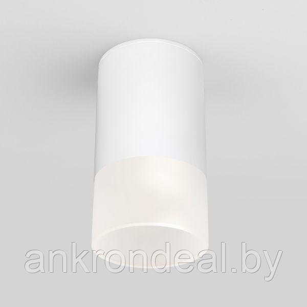 Светильник уличный потолочный Light LED 2106 IP54 35139/H белый Elektrostandard