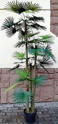 Искусственное растение ForGarden Дерево Palm Washington Tree / FGN BF00595 - фото 1 - id-p225522580