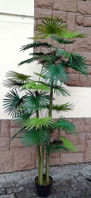 Искусственное растение ForGarden Дерево Palm Washington Tree / FGN BF00595 - фото 2 - id-p225522580