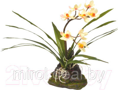 Декорация для террариума Lucky Reptile Orchid white / IF-09 - фото 1 - id-p225552868