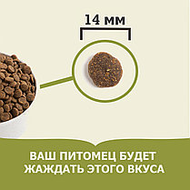 Сухой корм для собак Acana Free-Run Duck 11.4 кг, фото 3