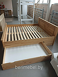 Ящик к кровати 180х200 бейц-масло Могилёвдрев, фото 5