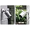 Уличная IP-камера Xiaomi Outdoor Camera AW300, китайская версия (BHR6539CN), Wi-Fi, MicroSD до 256GB, фото 6