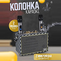 Портативная караоке колонка QiXi SK-2036