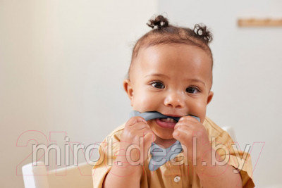 Прорезыватель для зубов Everyday Baby 10552 - фото 5 - id-p225623467