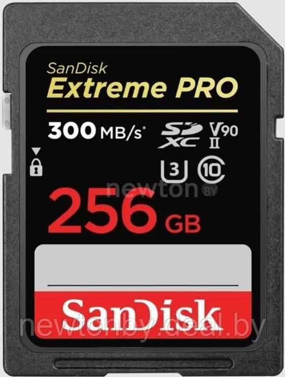 Карта памяти SanDisk Extreme PRO SDXC SDSDXDK-256G-GN4IN 256GB - фото 1 - id-p225635488