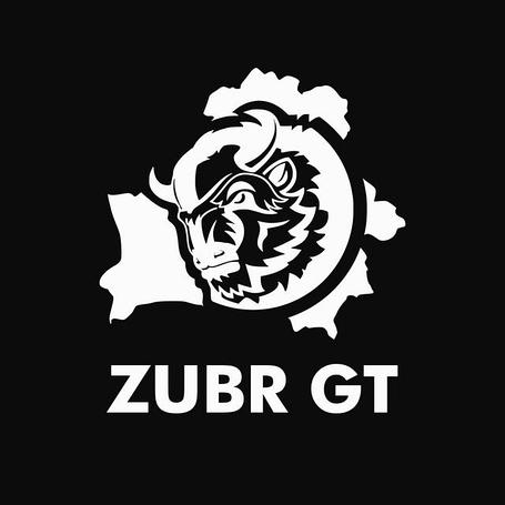 Электроскутеры ZUBR GT