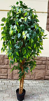 Искусственное растение ForGarden Дерево Ficus Benjamin Baft Tree / FGN BF00568