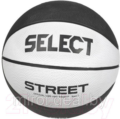 Баскетбольный мяч Select Street Basket - фото 1 - id-p225683007