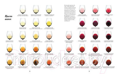 Книга КоЛибри Wine Folly. Издание магнум, детализированное - фото 3 - id-p225683988