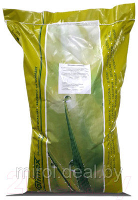 Семена газонной травы Satimex Канада Супергрин Микс 2 - фото 1 - id-p225681003