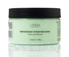 Антиоксидантная маска для сухих и пористых волос Limba Cosmetics Antioxidant Hydrating Mask, 245 г