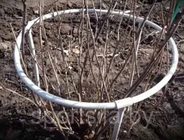 Опора растений кустов смородины, пионоварт. 80080020