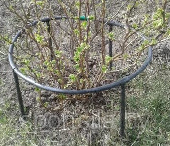 Опора растений кустов смородины, пионов арт. 50050016-М)