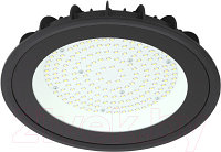 Светильник для подсобных помещений ЭРА SPP-402-0-50K-100 / Б0046668