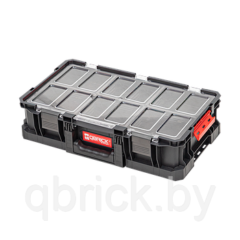 Органайзер Qbrick System TWO Organizer Flex Plus, черный