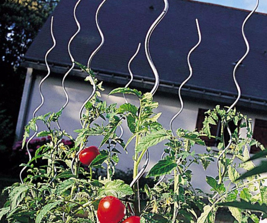 Опора спиральная для томатов длиной 1,8 м - фото 2 - id-p225740145