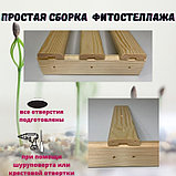 Стеллаж деревянный для рассады с фитосветильниками 73х65х24 см, фото 5