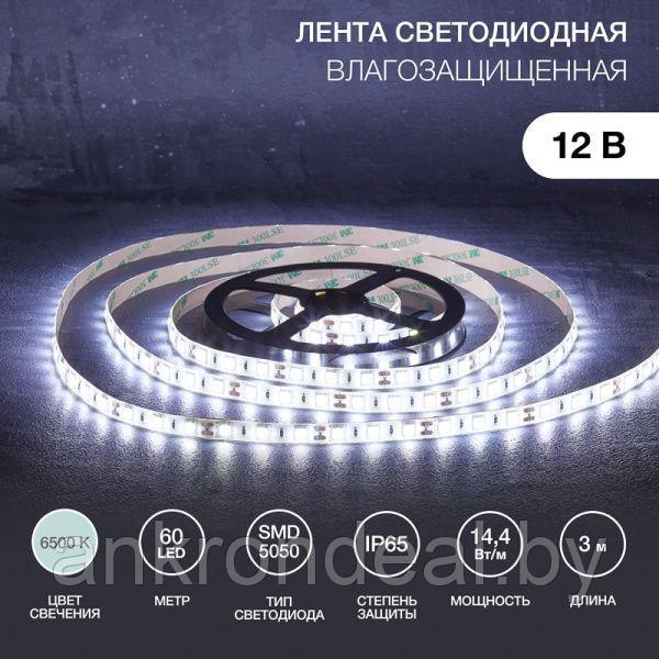 Лента светодиодная 12В, SMD5050, 14,4Вт/м, 60 LED/м, 6500К, 10мм, 3м, для БП с клеммами, IP65 LAMPER - фото 1 - id-p225758694