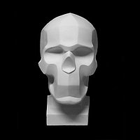 Гипсовая модель "Обрубовка черепа по Баммесу"