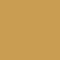 Акварельные чернила Colorex (45мл) (желтовато-коричневый)