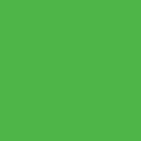 Акварельные чернила Colorex (45мл) (зеленый весенний)