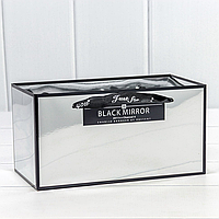 Коробка-пакет Black Mirror с ручками, 10 шт, 23*12*12 см, серебряный