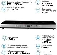 Настольная плита Endever Skyline IP-61