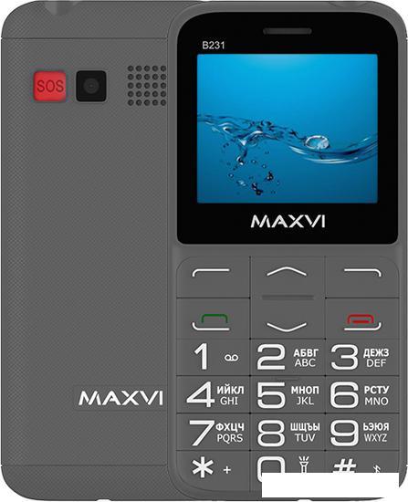 Кнопочный телефон Maxvi B231 (серый)